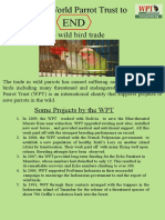 Help End Wild Parrot Trade with World Parrot Trust