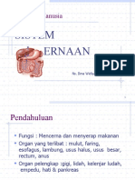 Fisiologi Sistem Pencernaan