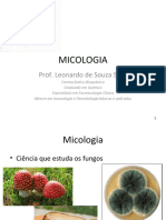 MICOLOGIA