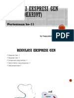 Regulasi Ekspresi Gen pada Prokariot dan Operon Laktosa dan Triptofan