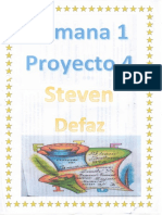 Steven - Defaz - Semana 1 - Proyecto 4