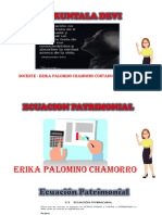 Ecuación Patrimonial - Partida Doble - Plan Unico de Cuentas Clase 20-02-2020