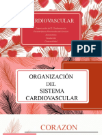 Fisiologia Cardiovascular
