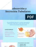 Reabsorcion y Secresiones Tubulares