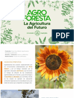 6.- Agroforesta La Agricultura Del Futuro