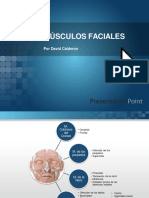 Fdocuments - Ec - Musculos de Cabeza 55c0903882fc3