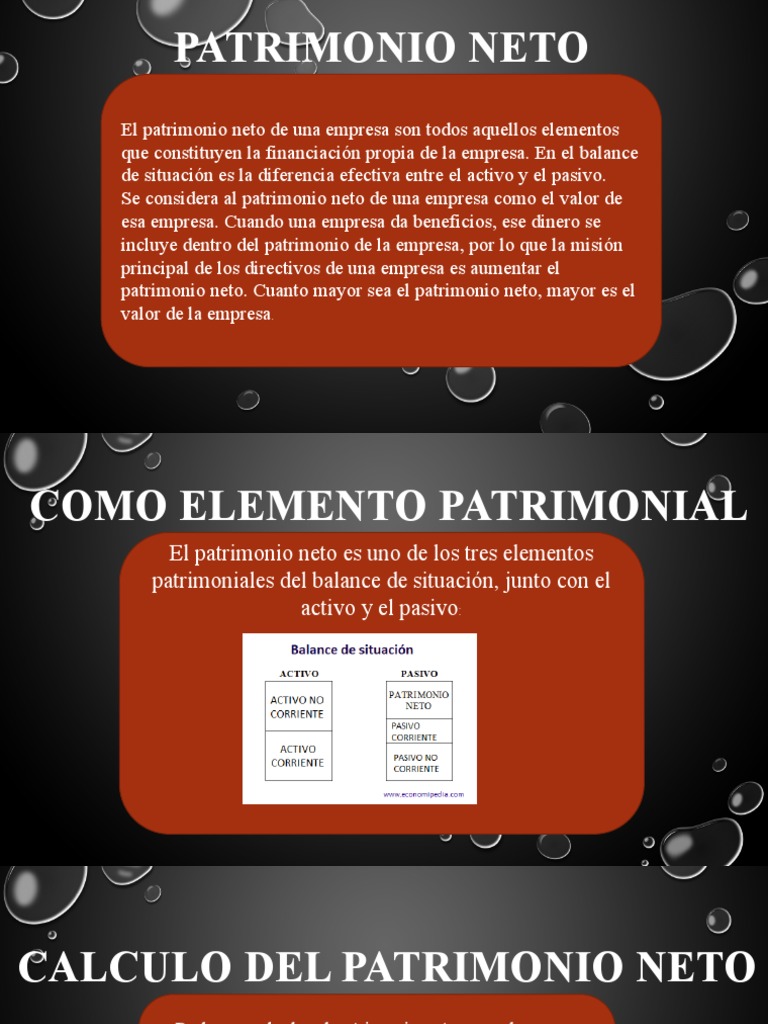 C lculo Y Elementos Del Patrimonio Neto PDF