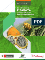 Guía Técnica Del Cultivo de Pitahaya (Hylocereus Megalanthus) en La Región Amazonas