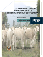 Actualización Curricular 2007