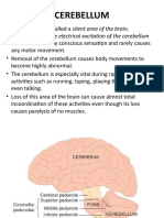 Cerebellum: Principally Because Electrical Excitation of The Cerebellum