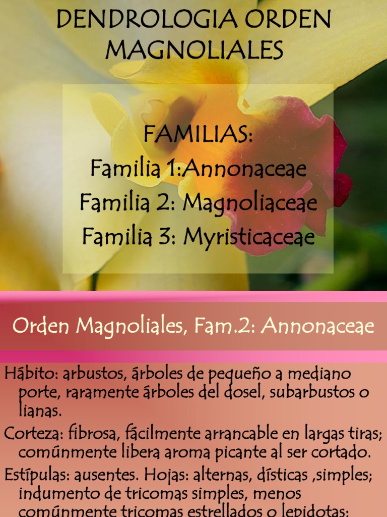 Magnoliales y Laurales | PDF | Flores | Organismos