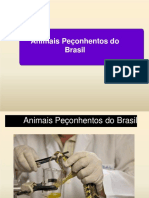 Animais Peçonhentos Aula 1 T 16