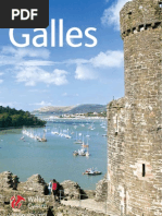 Download Visit Wales by Miriam Lovelt SN49589323 doc pdf
