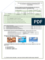 Evaluacion Diagnostica 2° Año Basico