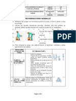 Protocolo Manipulación de Cargas