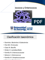 Diapositivas Estreptococos  y  enterococos 2021-A