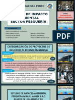 Grupo 1 - Eia Sector Pesquería