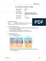 LKPD 3.2 Mekanisme Tranfor Membran, Pembelahan Sel, Sintesis Protein