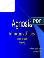 Agnosia s