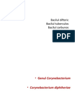 Curs 5 - Bacilul Difeteric, Tuberculos, Carbunos 1