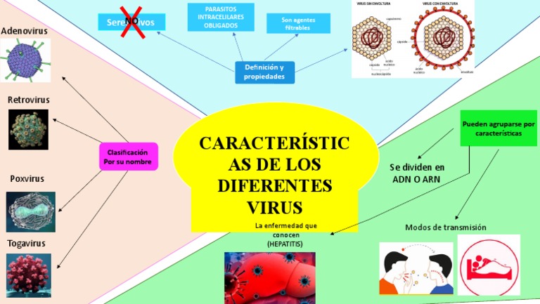 Adenovirus Mapa Conceptual - shibaswap