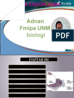Adnan Fmipa UNM: Retikulum Endoplasma