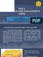 Chapter 6 Coso Erm (DCP)