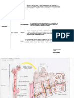 Mapa Sinoptico + Dibujos