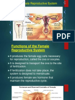 Female Reproductive System