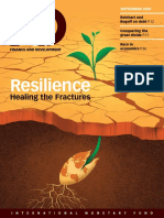 Resilience: Healing The Fractures