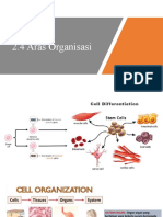 Biologi SPM Tingkatan 4 Bab 2.4 Aras Organisasi