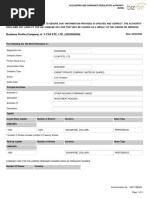 Business Profile (Company) of S CAP PTE. LTD. (202005935N) : Accounting and Corporate Regulatory Authority (ACRA)