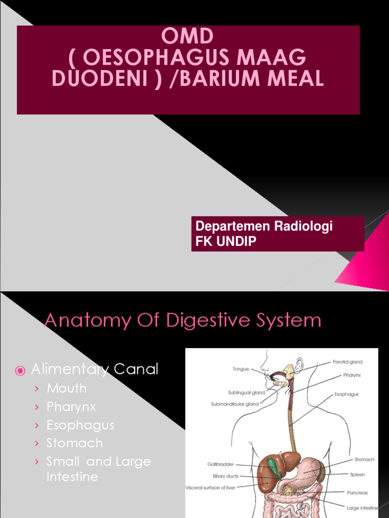 1 OMD, Indikasi, Dan Mekanisme Rujukan Panoramic | PDF | Stomach ...