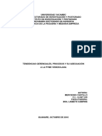 Ensayo Tendencias Gerenciales Procesos y Su Adecuacion A La PyME Venezolana