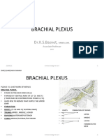 Brachial Plexus 280667