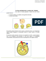 4. Patología Frontal