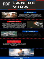 Plan de vida (1)