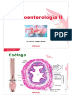 Clínicas 2020 - Gastroenterología 2 - Online