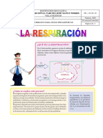 la respiracion para dos semanas