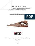 Stucchi 2020 - Aves de Piedra