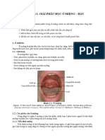 M11.GP1 Ổ miệng Hầu