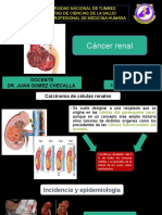 S3. Neoplasia Renal