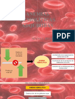 Anemia Hemolítica Anticuerpos Calientes