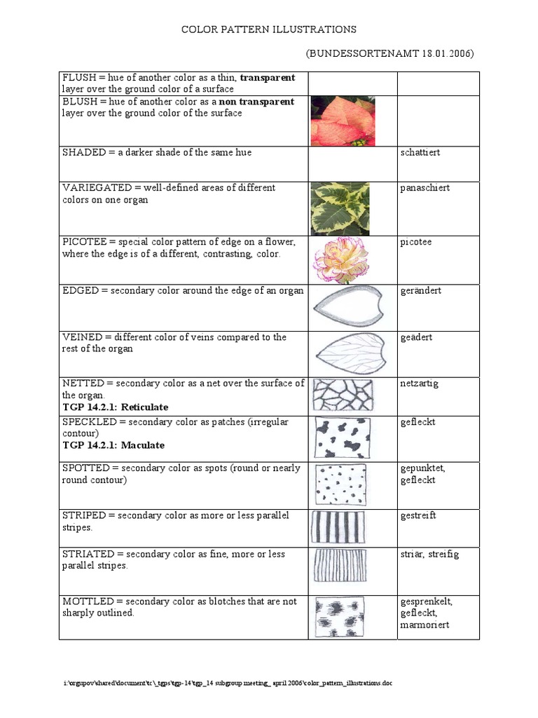 Color Pattern Illustrations | PDF