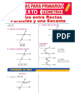 Ángulos Conjugados y Alternos para Sexto de Primaria