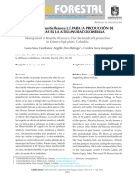 Manejo de Mauritia Flexuosa l.f. Para La Producción de Artesanías en La Altillanura Colombiana