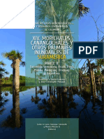 Xiv. Morichales, Cananguchales y Otros Palmares Inundables de Suramérica