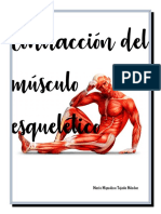 Contracción Del Músculo Esquelético