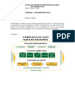 Informe Ejecutivo