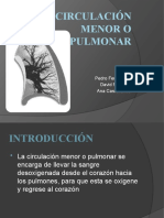 Circulación Menor o Pulmonar